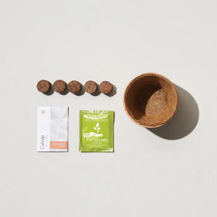Lavender - Tiny Terracotta Grow Kit